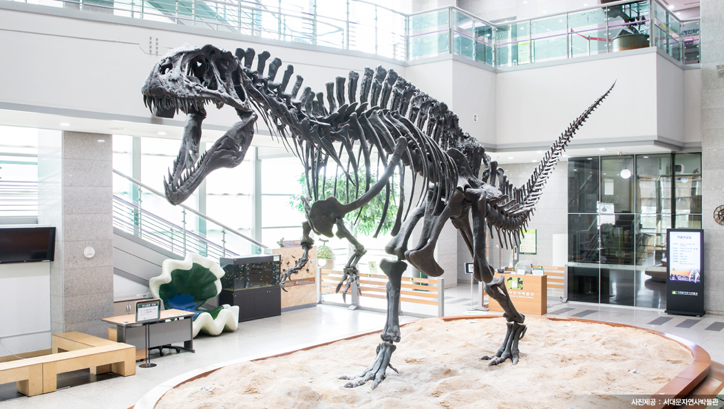 공룡화석 - 서대문자연사박물관